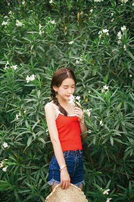 大地资源三在线观看免费高清电视